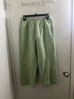 Alfred Dunner Light Sage Green Elastic-Waist Chinos